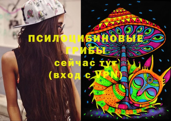 гидропоника Баксан