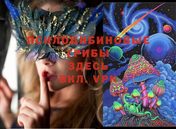 крисы Балахна