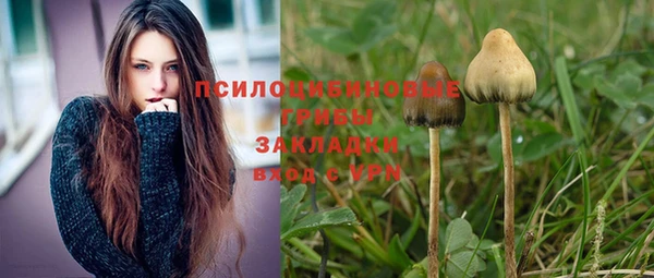 крисы Балахна