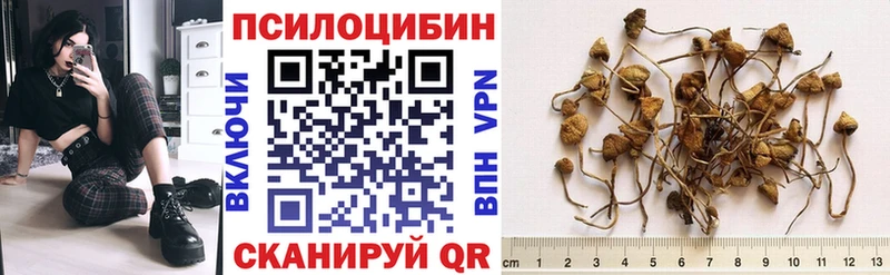 hydra ссылка  Сельцо  Псилоцибиновые грибы MAGIC MUSHROOMS 